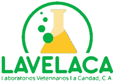 Lavelaca Lavelaca